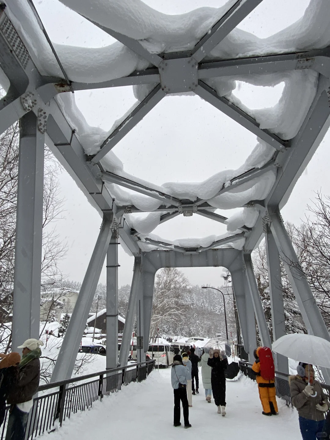 来一场北海道旅行