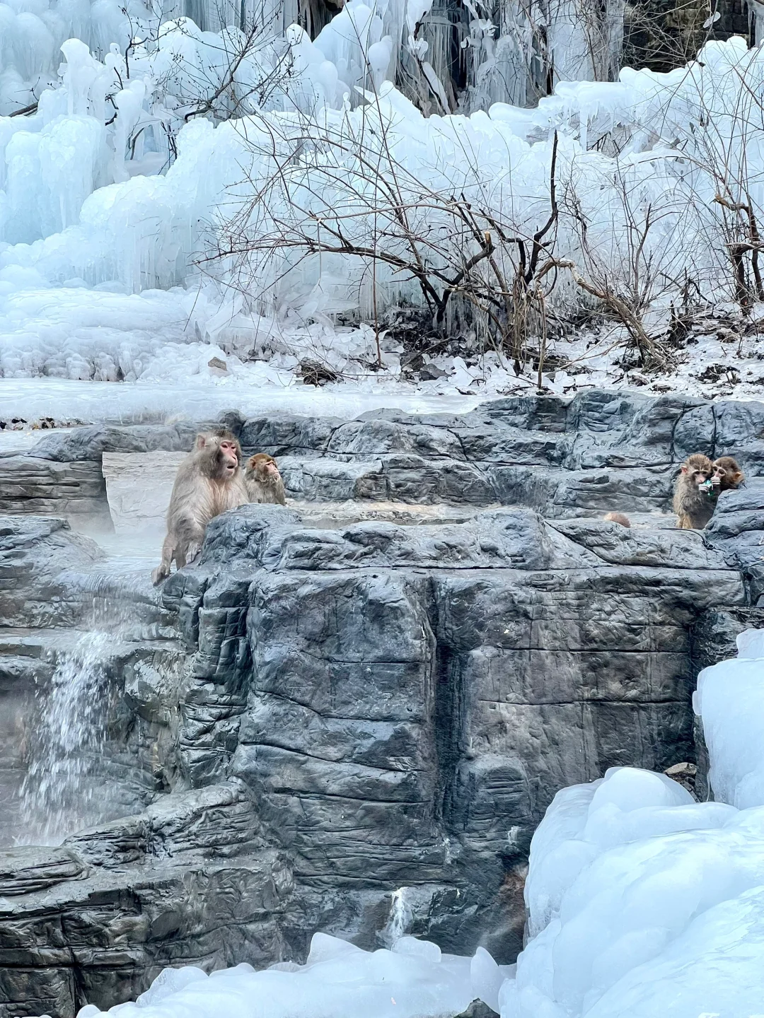 1月5日云台山风景实拍及相关攻略