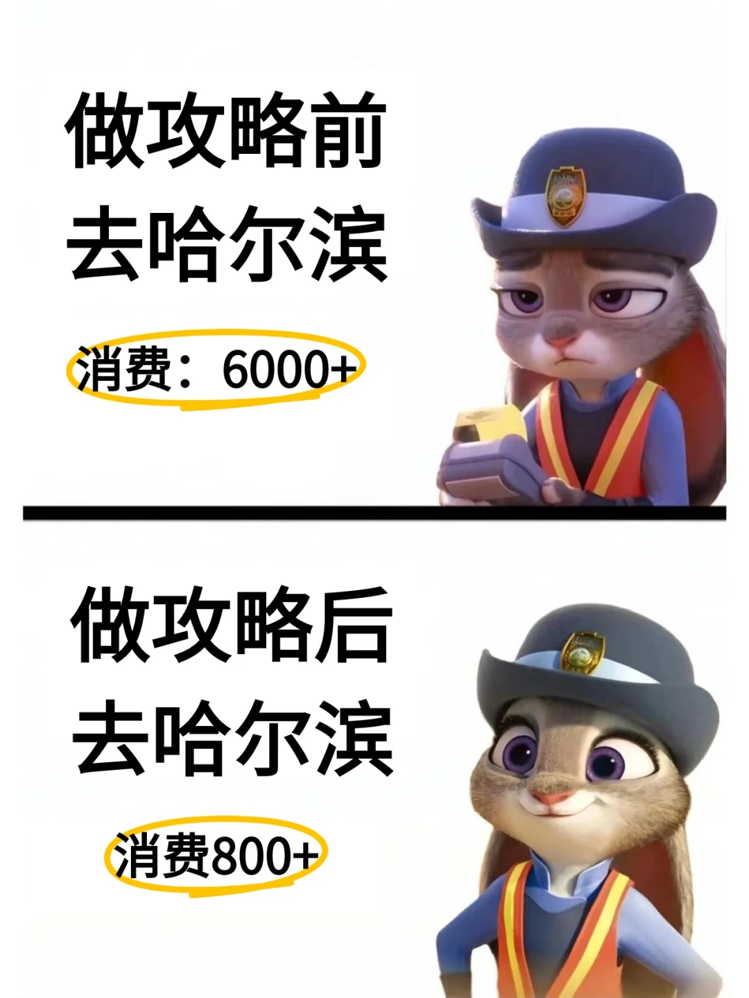 11-2月要来哈尔滨的存好这份懒人攻略‼️