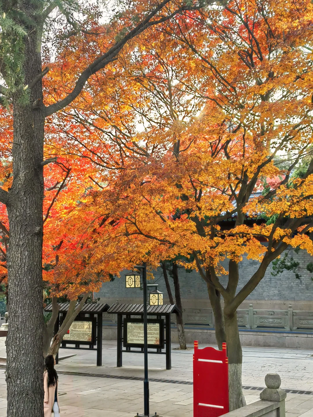 👉青岛湛山寺🙏真的一去寡三年么🆘