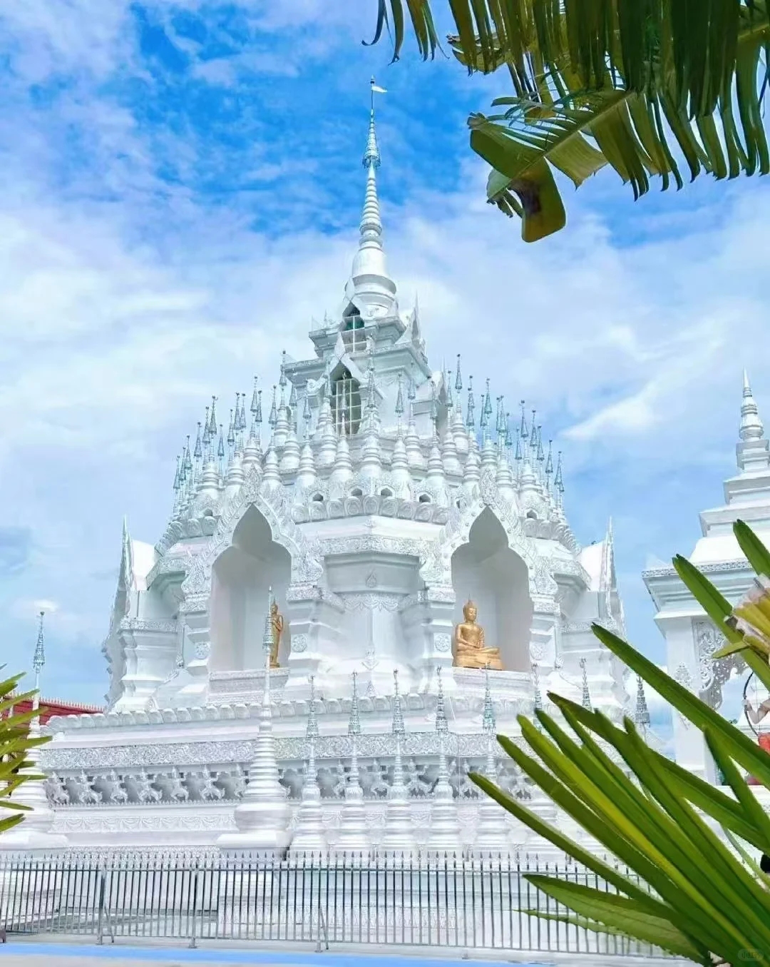 走进雨林仙境，邂逅傣族风情