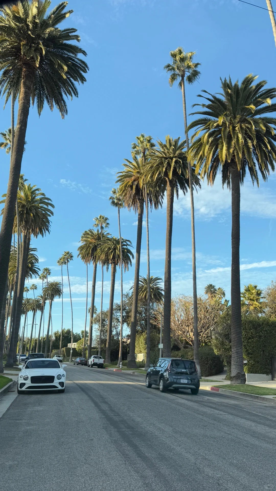 洛杉矶大火前的海边…