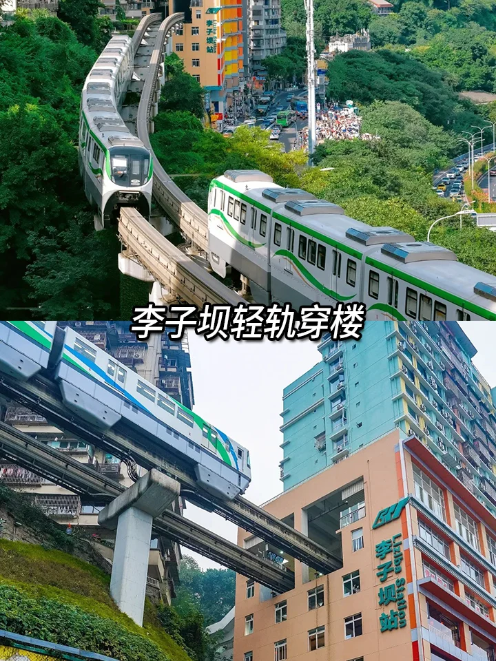 1-3月去重庆✅本地团🏃‍♀️不踩坑