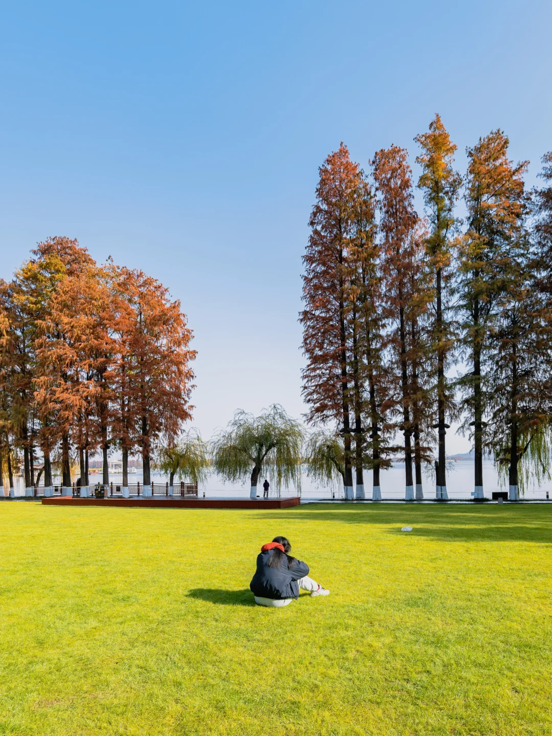 此刻🍁东湖这里水杉都红啦，美爆的不像话‼️