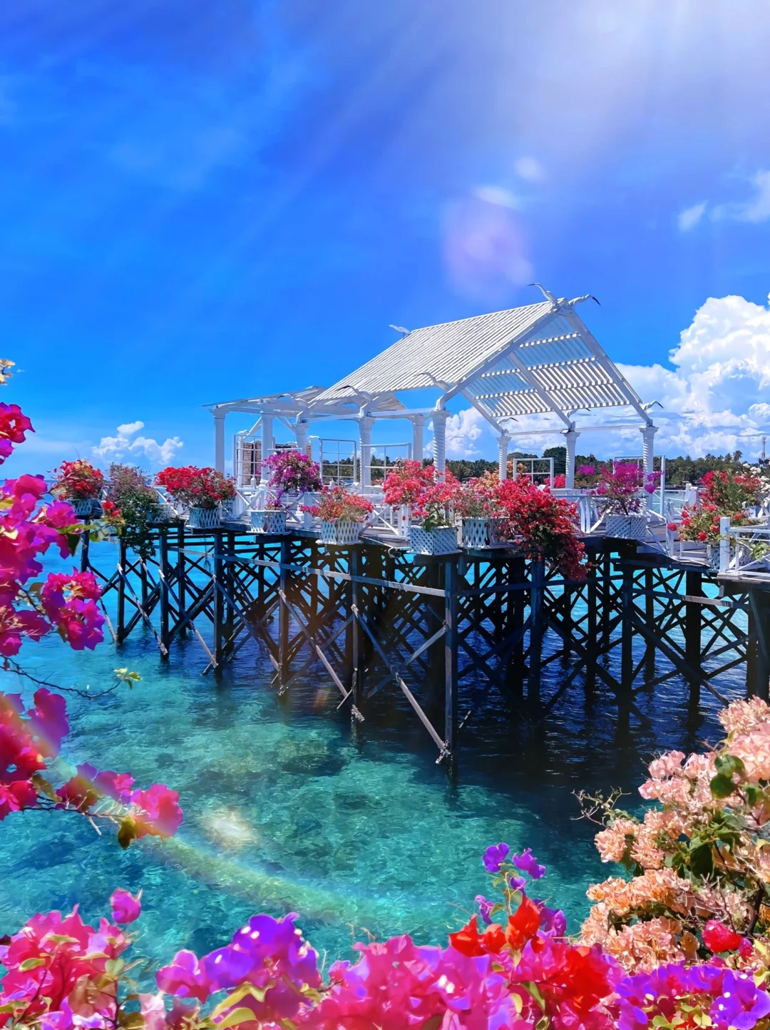 马来西亚🇲🇾正确游玩顺序，千万别搞反了！