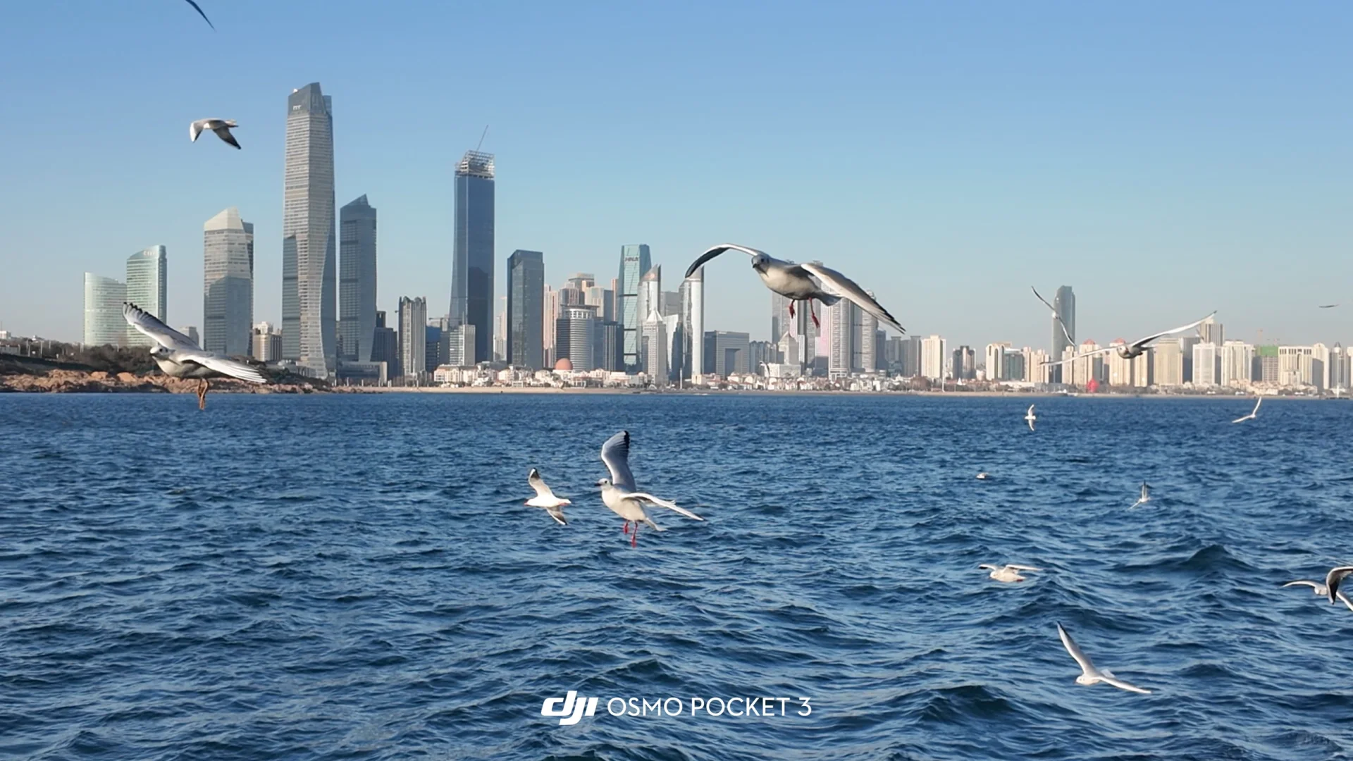 青岛五十块钱轮渡⛴️