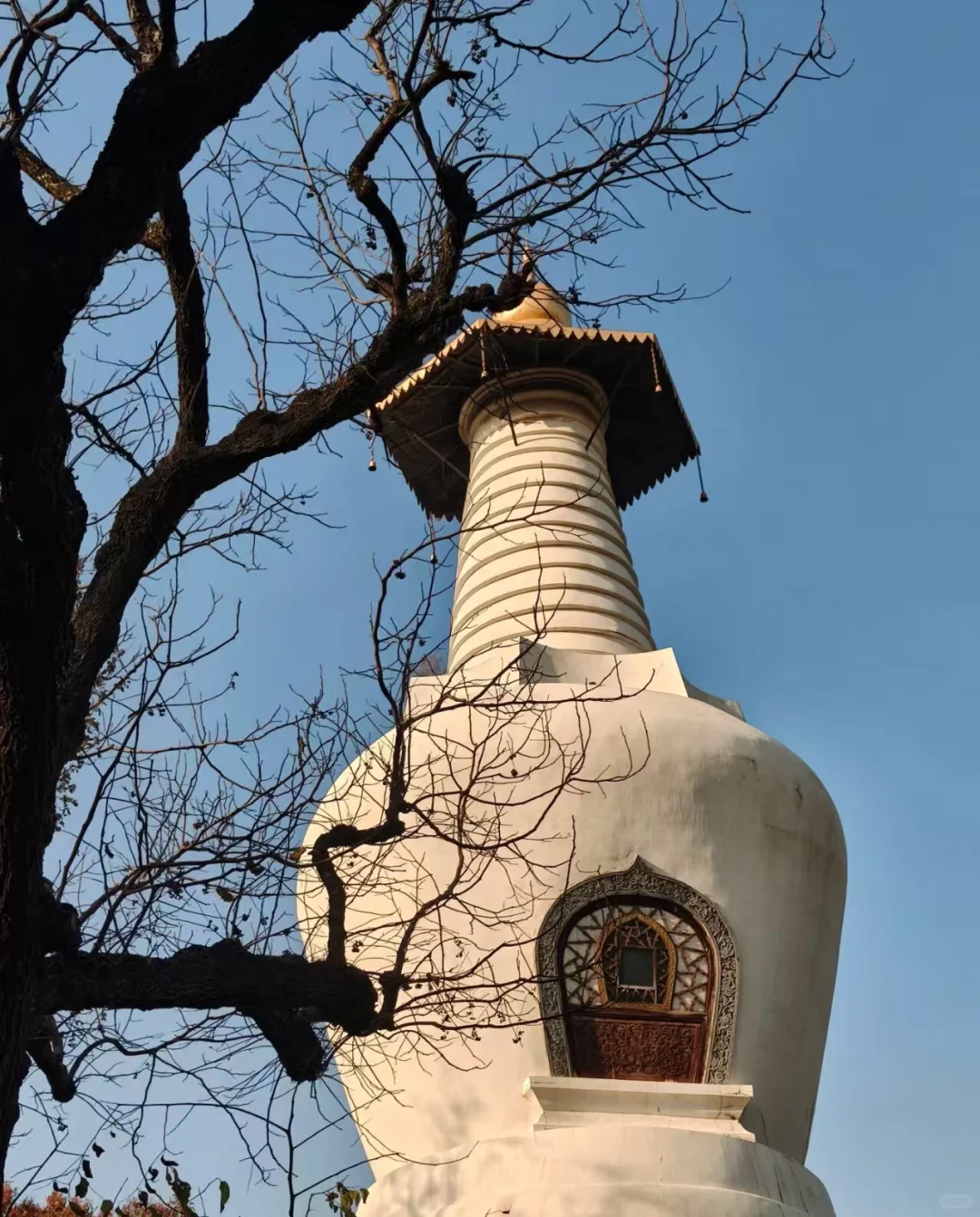 救命!大学生预算只有一千五应该去哪旅游⁉️