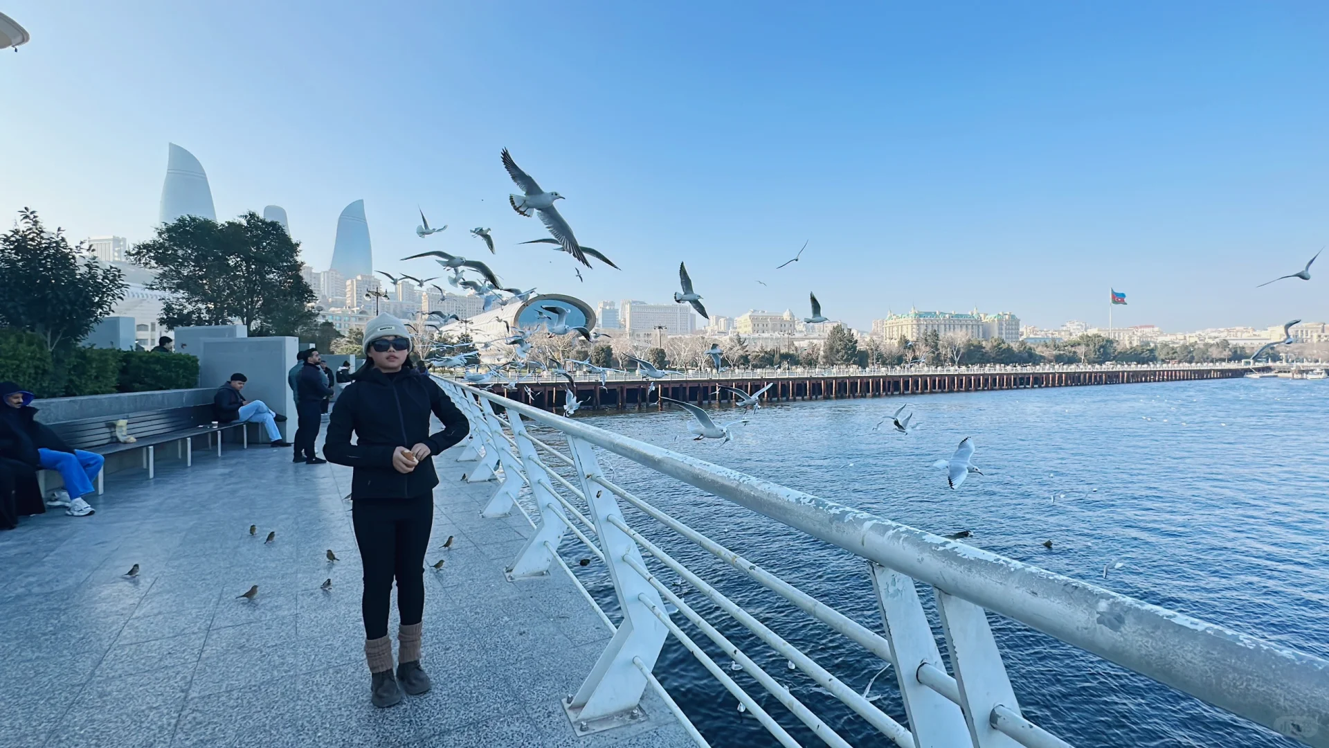 阿塞拜疆巴库第三天—-里海喂海鸥