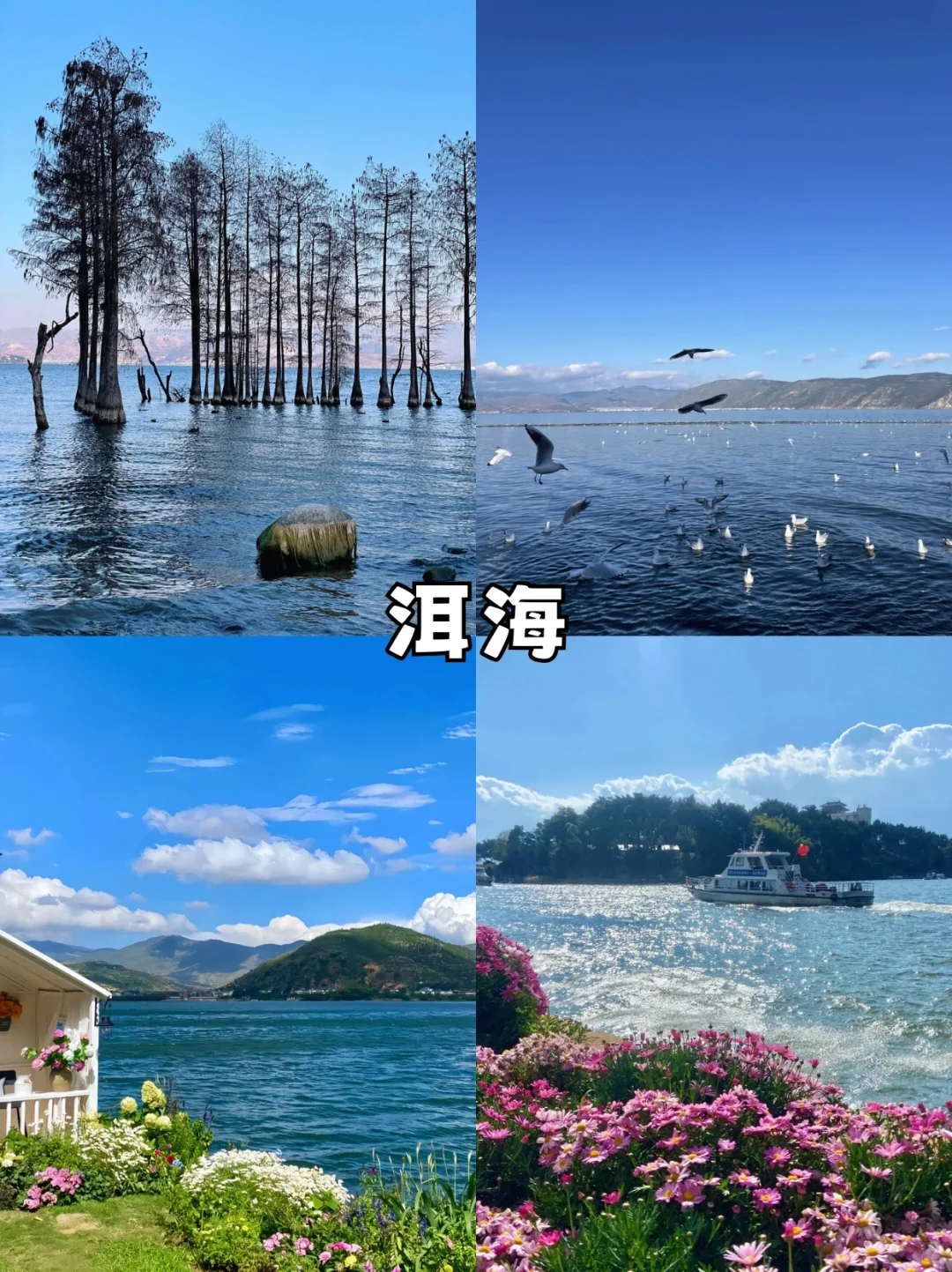 云南必去九大热门景点！！！👀