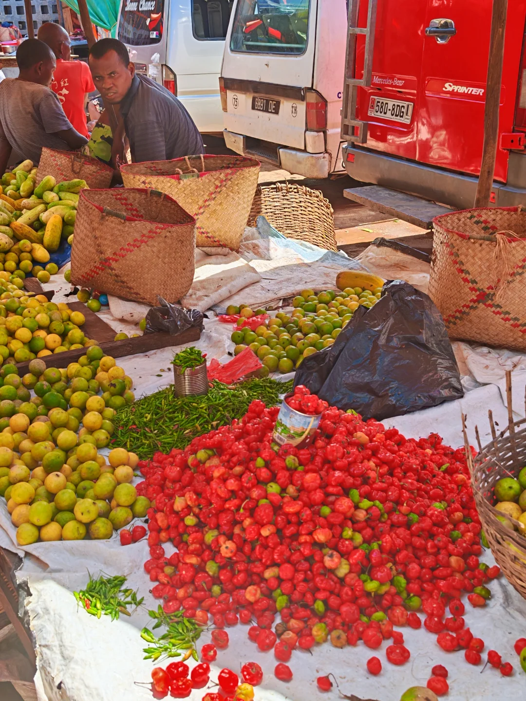 非洲深度猎奇游24