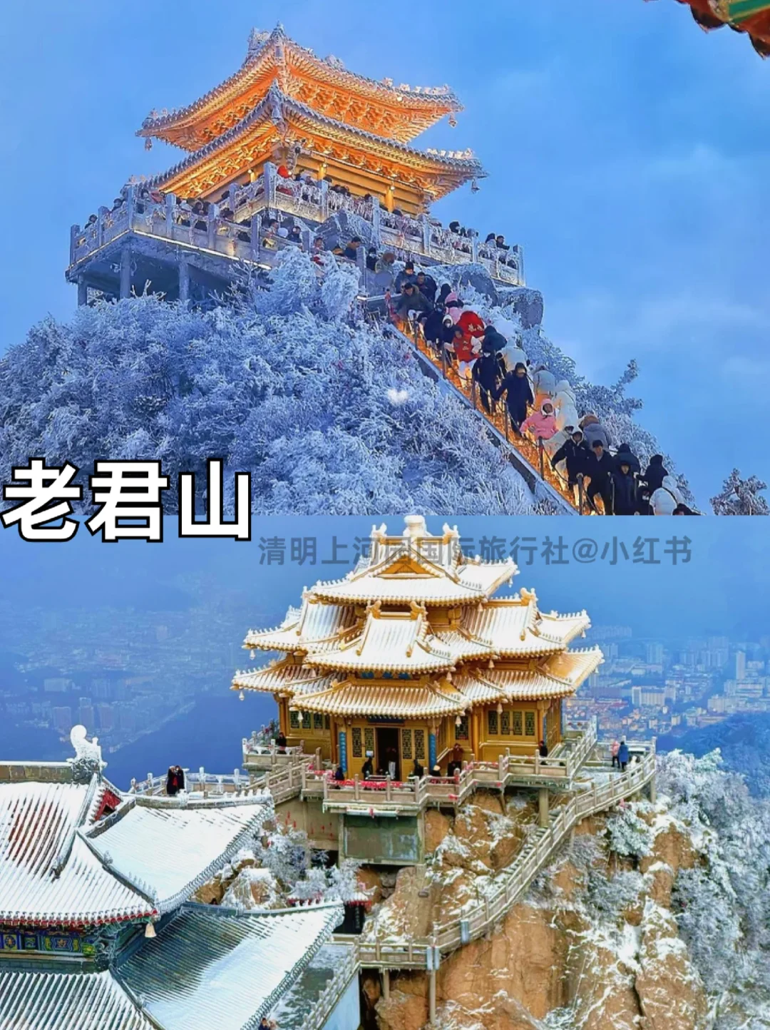 刚带娃从洛阳回来🥵我的建议是。。。