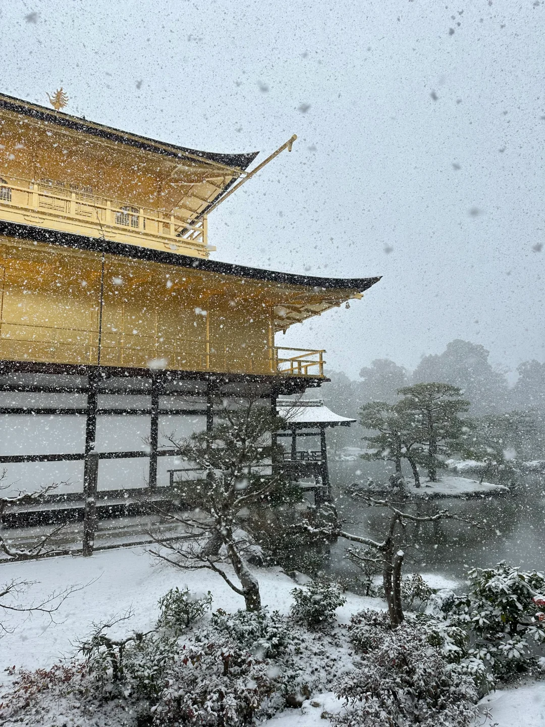 雪顶金阁寺❄️