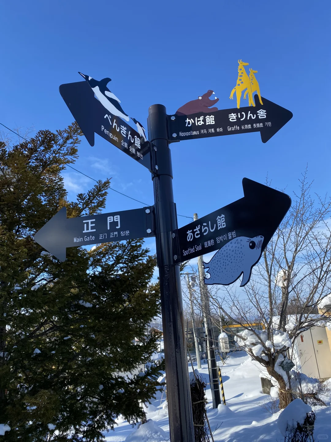来一场北海道旅行