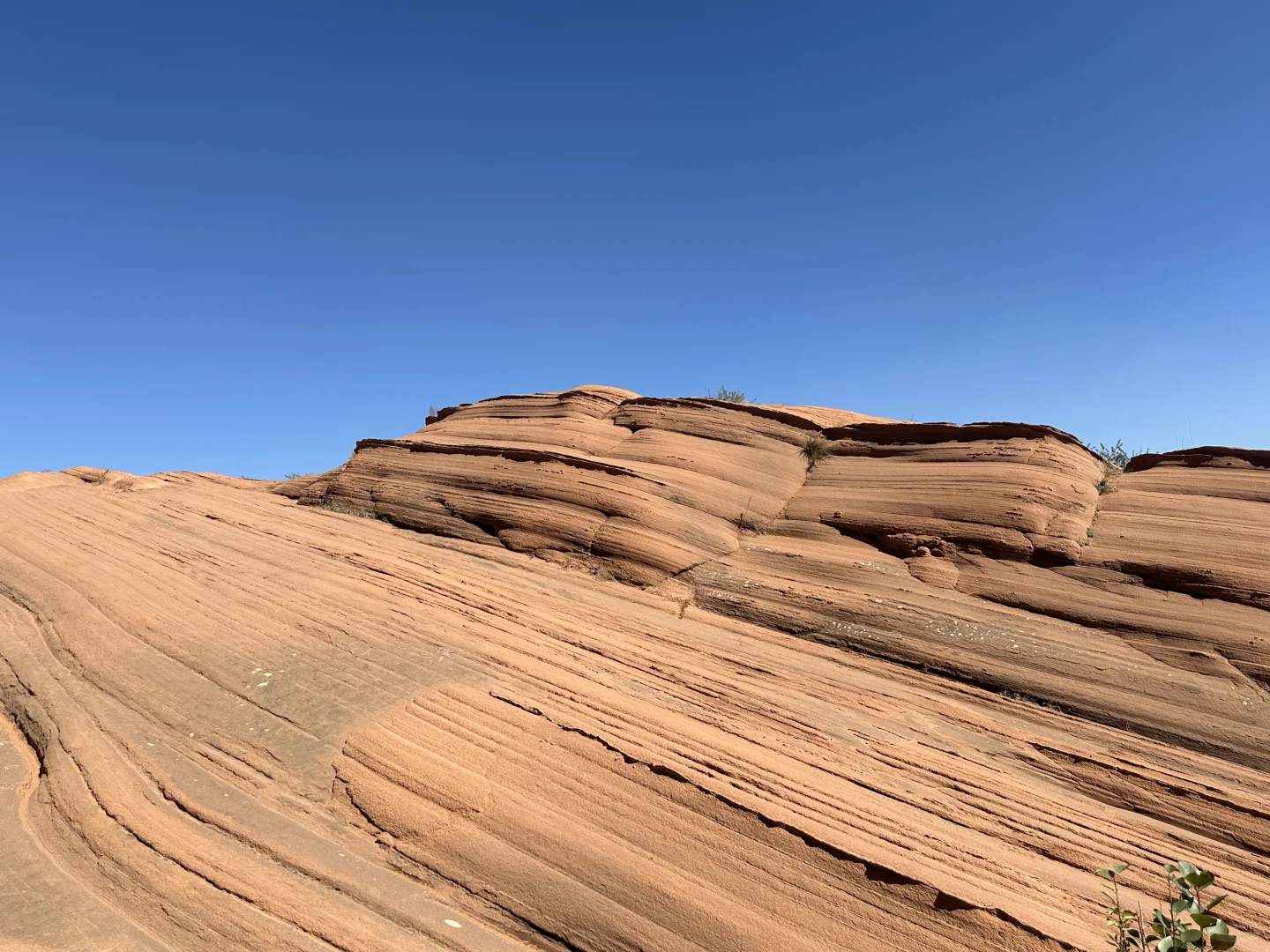 国庆榆林&波浪谷$丹霞凤尾岩 经验（避雷）帖