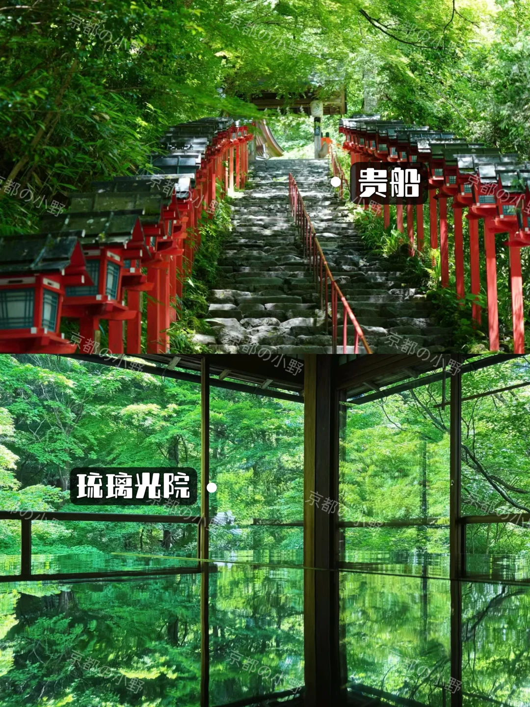 ⛩️攻略｜去了京都6次✈️一定要说的....