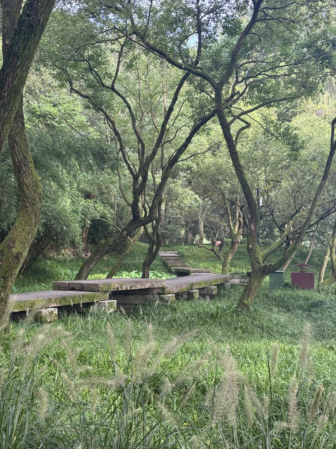 在西湖边溜达，自评6A级景区