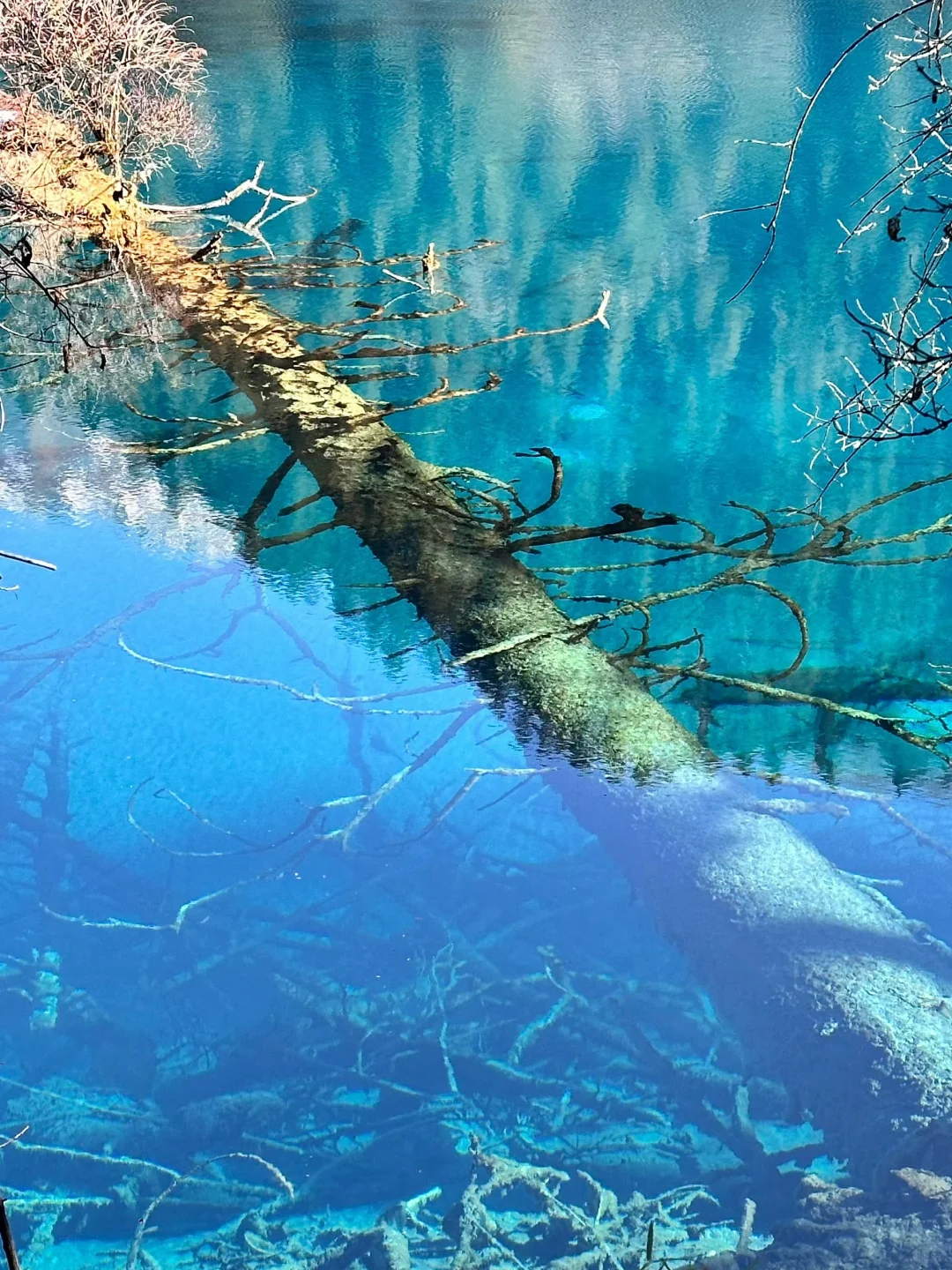 大学生穷游九寨，3天2夜只要780（高铁🚅往返