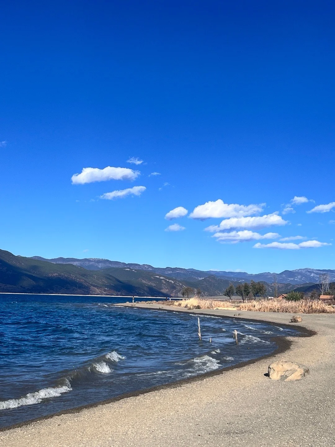 1.11📍泸沽湖已回，live实况+真心建议🤩！！