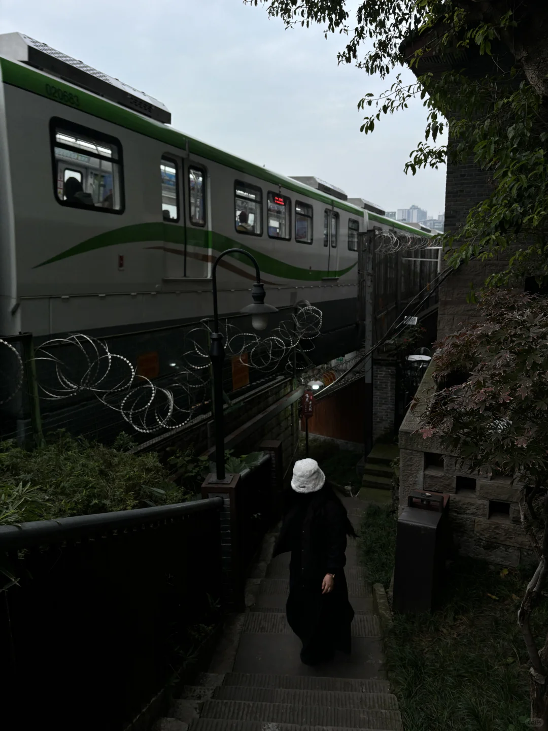 在重庆待了28年的土著真心建议你重庆这样玩