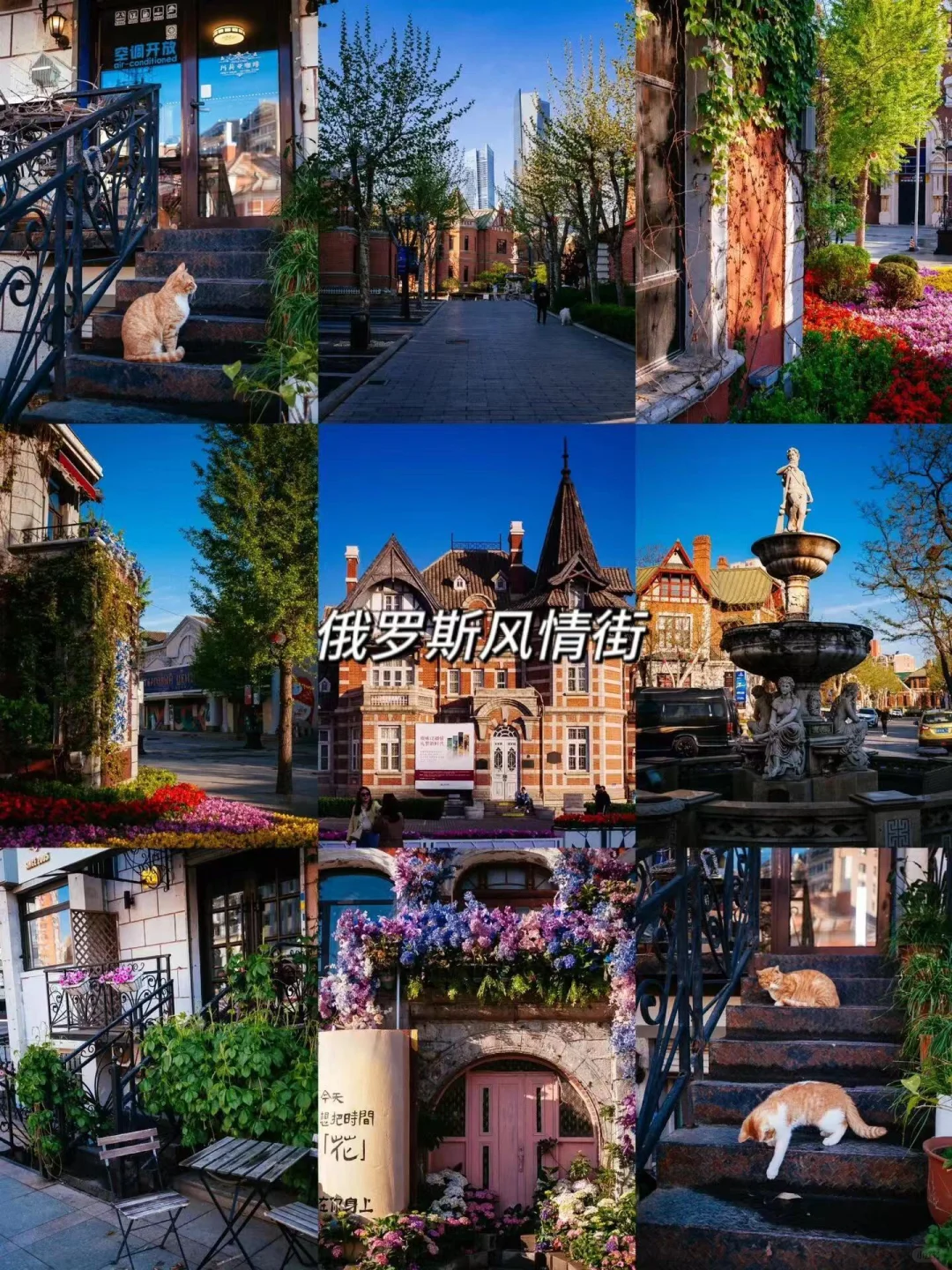 中俄免签！从漠河玩到俄罗斯，邂逅极光