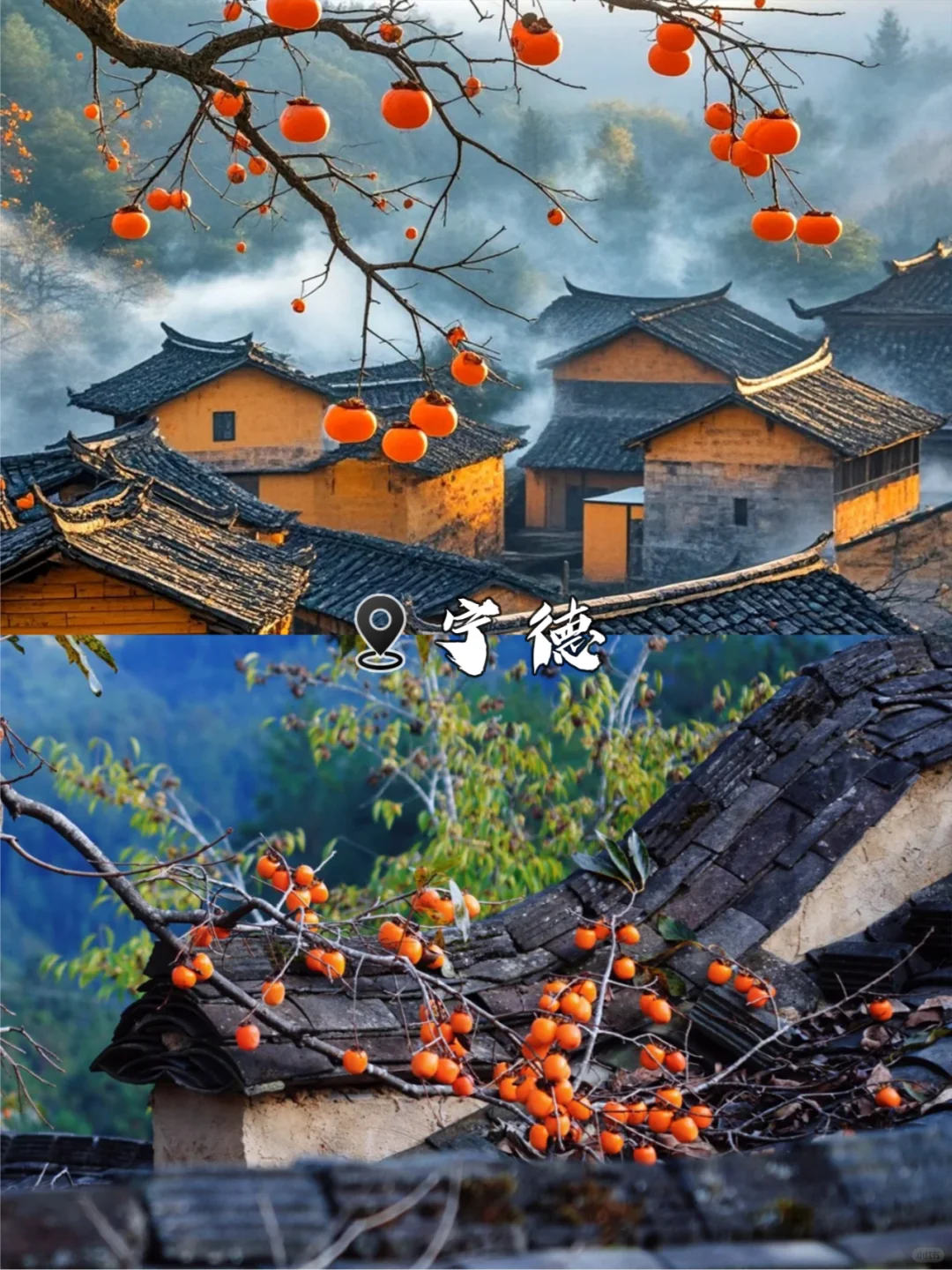 福建旅游秒懂攻略🔥千万别把顺序搞反😭