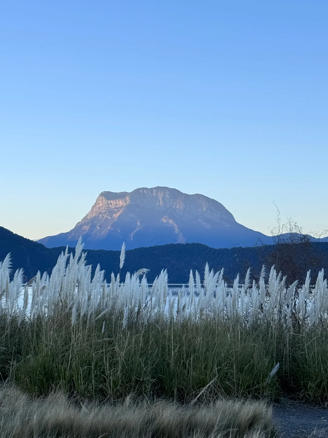 1.11📍泸沽湖已回，live实况+真心建议🤩！！