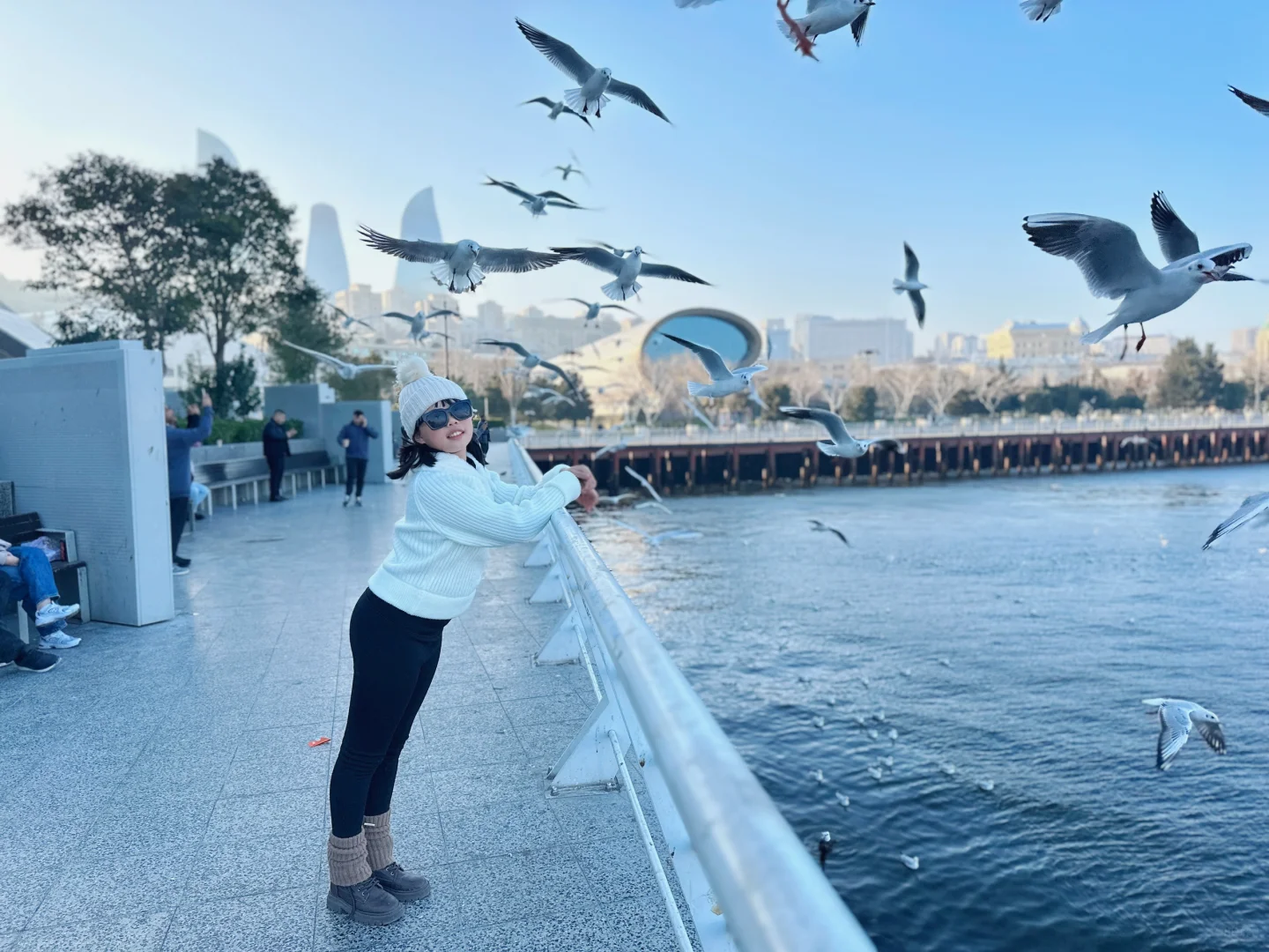 阿塞拜疆巴库第三天—-里海喂海鸥