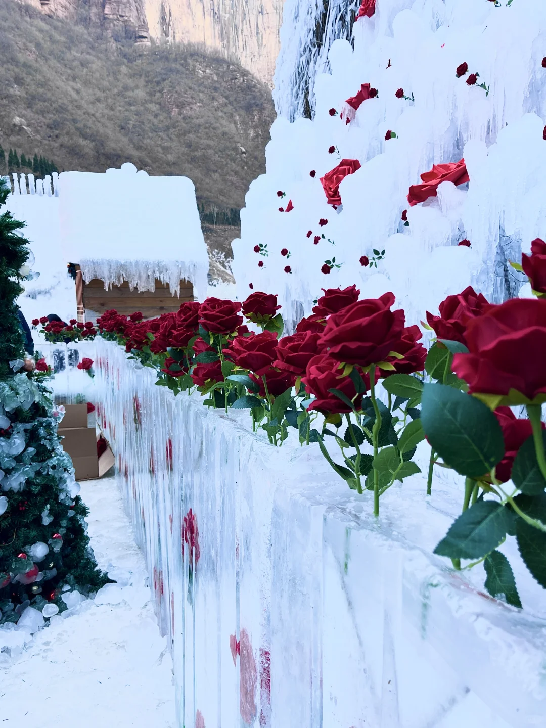 5A景区宝泉2025新年live实拍‼️