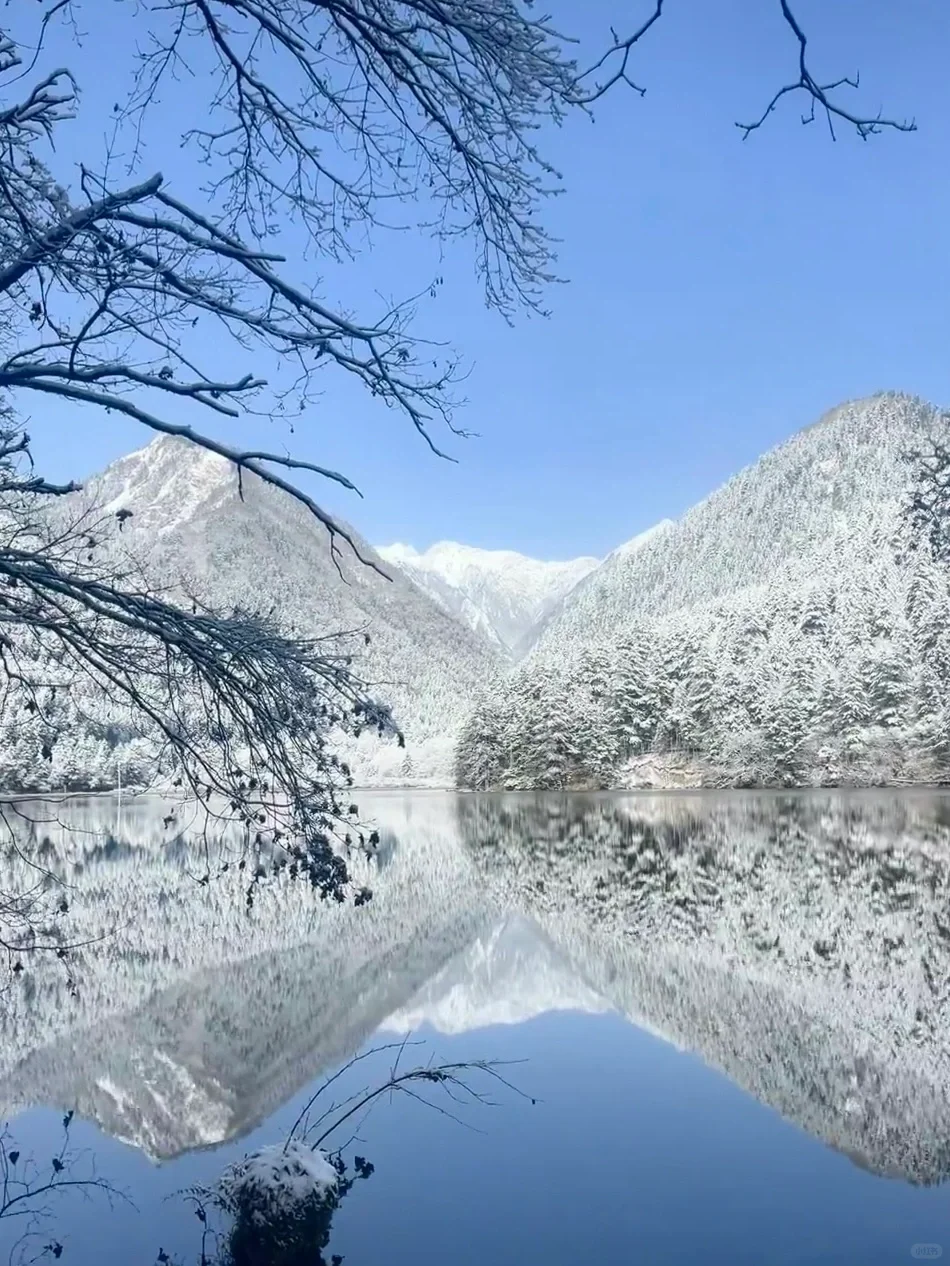 大学生穷游九寨，3天2夜只要780（高铁🚅往返