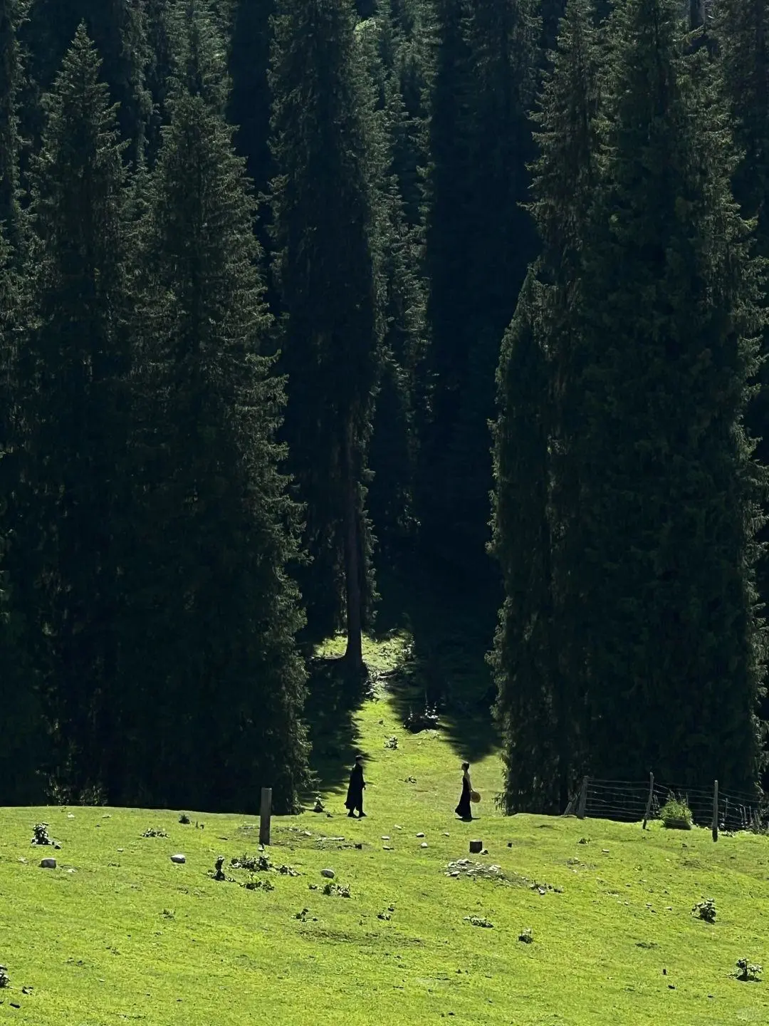 🌅国内 6 处小众地✨美到失语