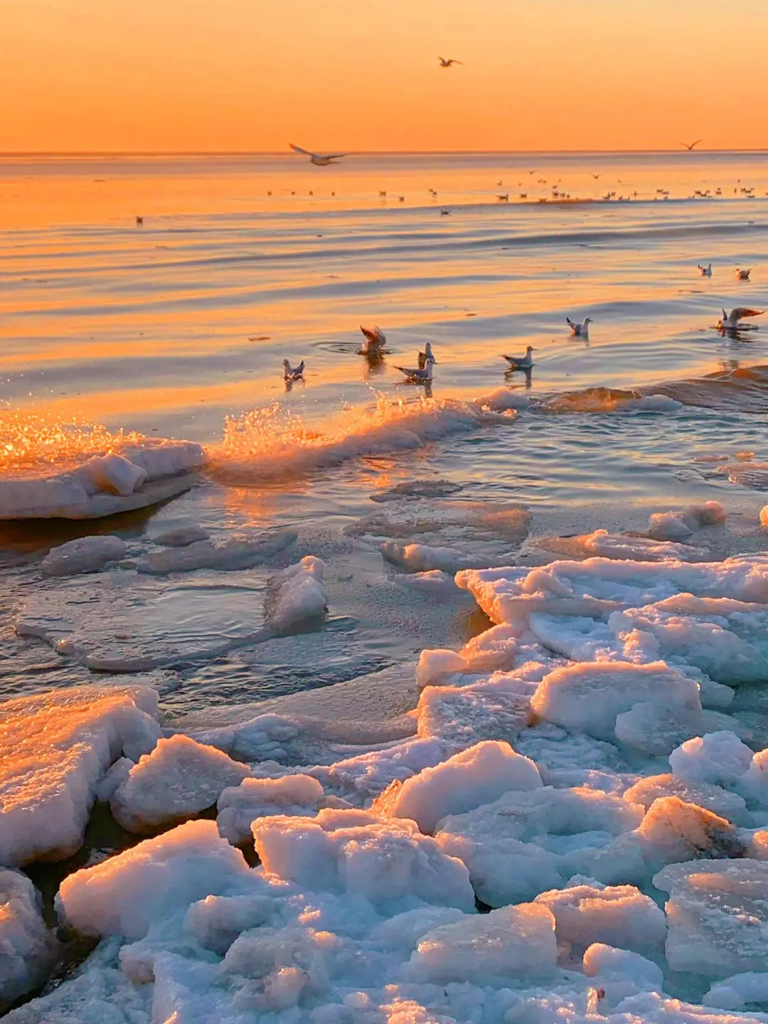 写给1-2月秦皇岛旅游的姐妹👯超全避雷