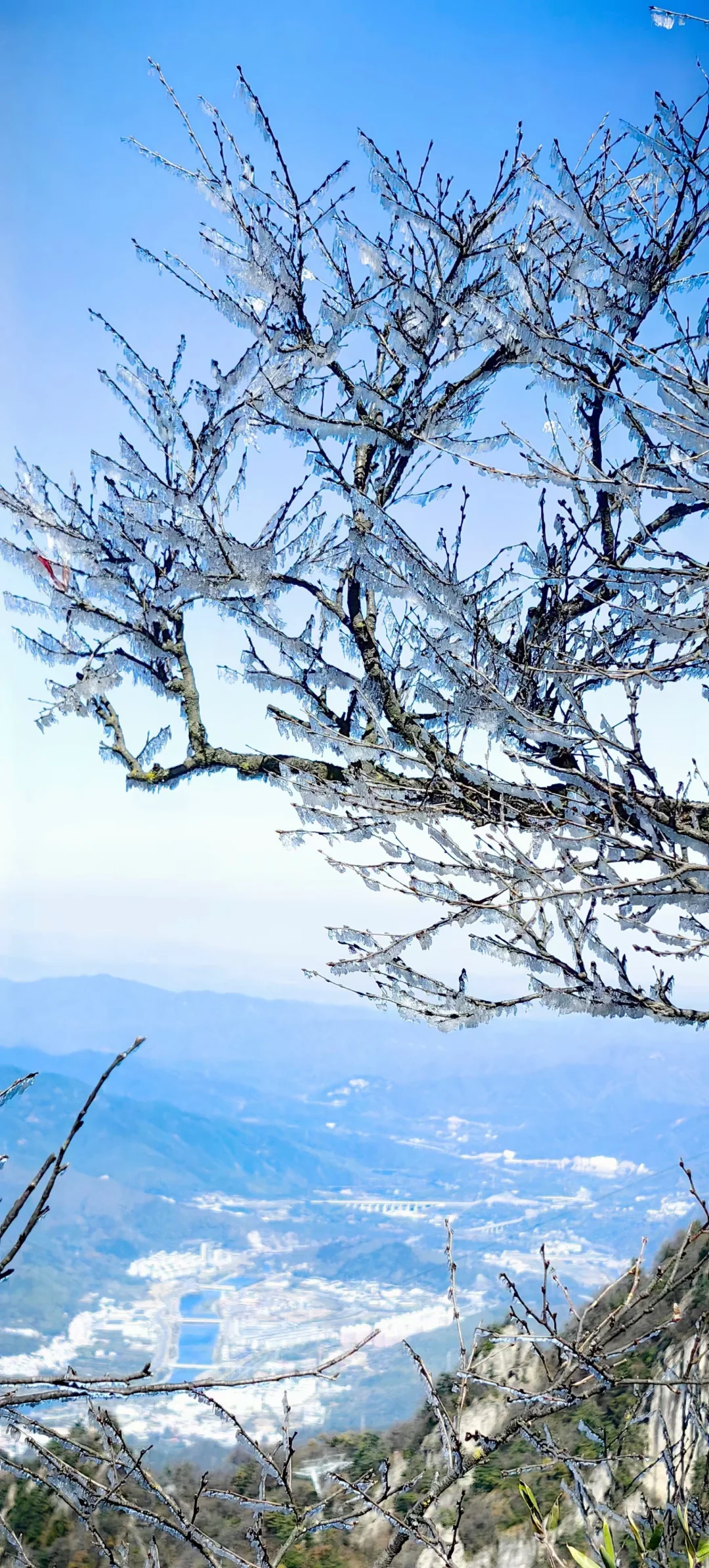 洛阳三天两晚游