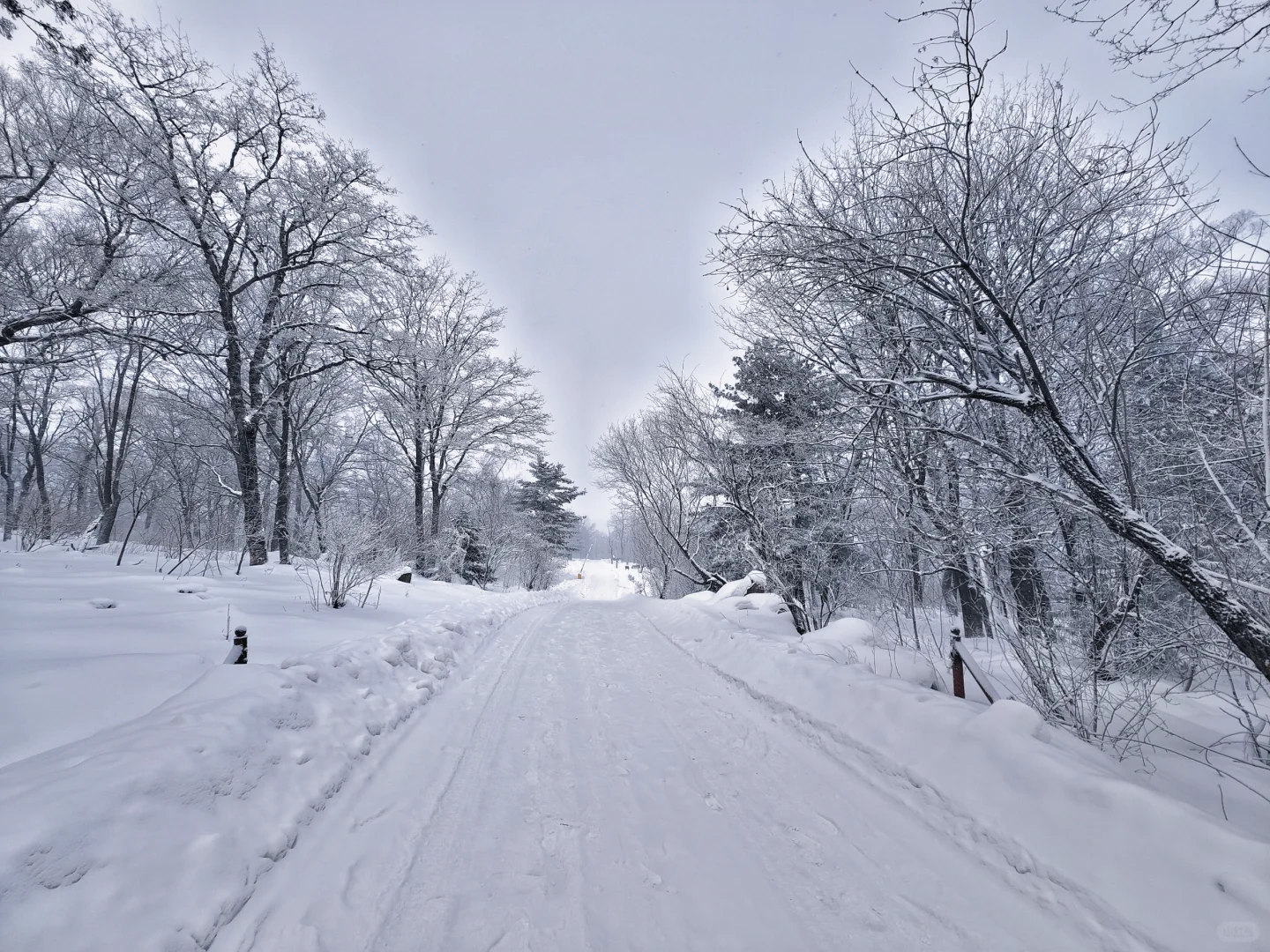 ✨吉林四方顶景区 | 小众绝美旅行记✨