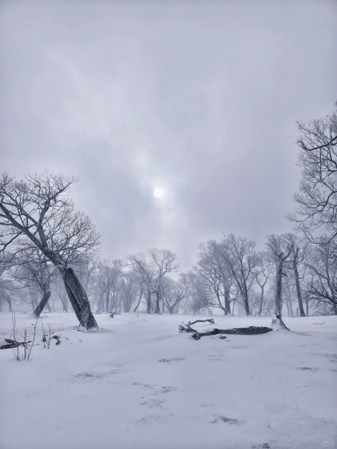 ✨吉林四方顶景区 | 小众绝美旅行记✨