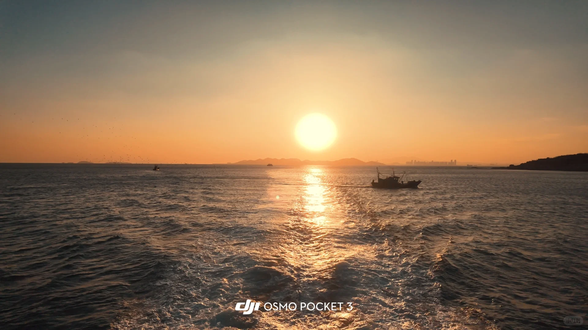 青岛五十块钱轮渡⛴️