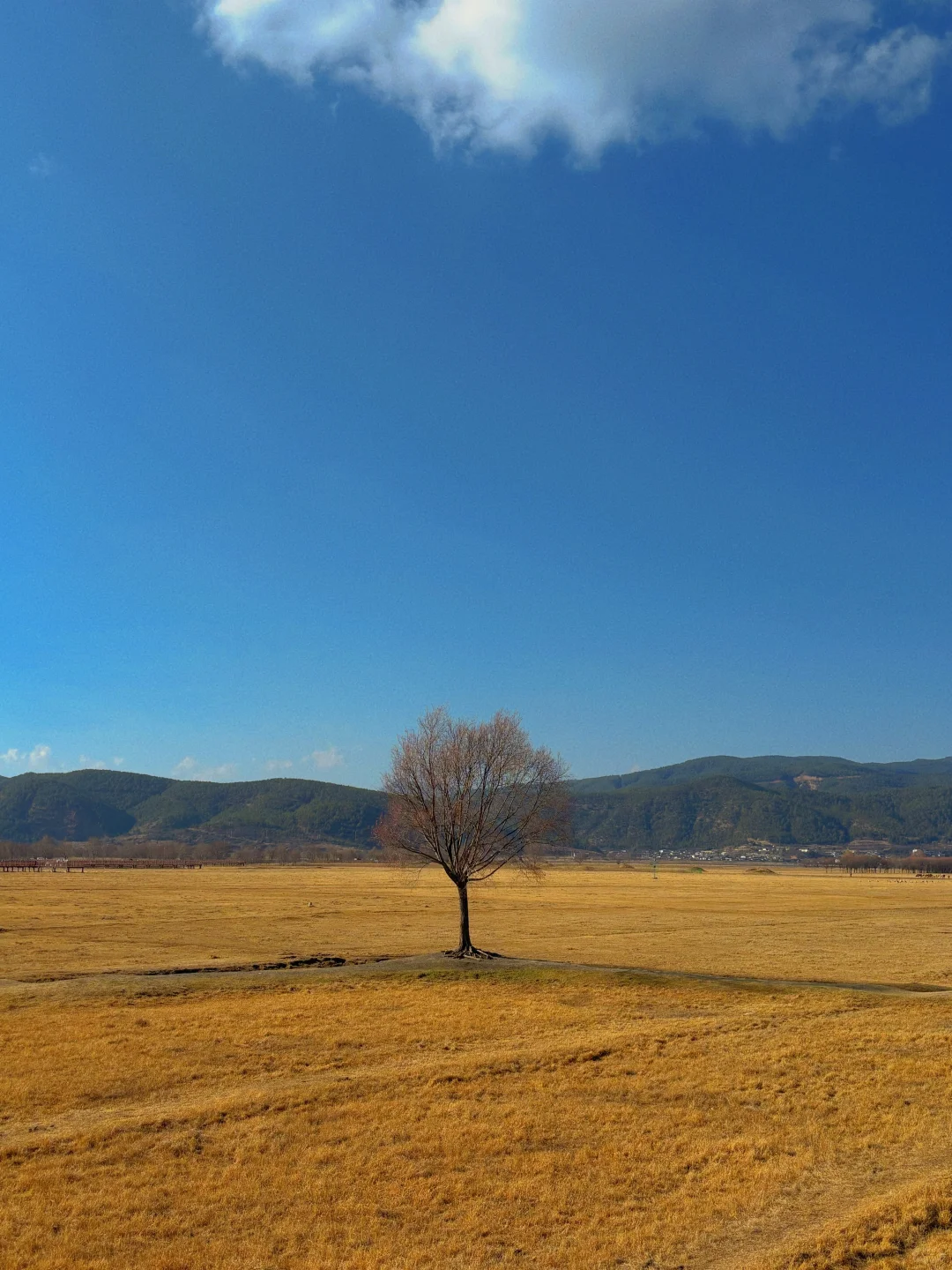 一人一周速通丽江-香格里拉