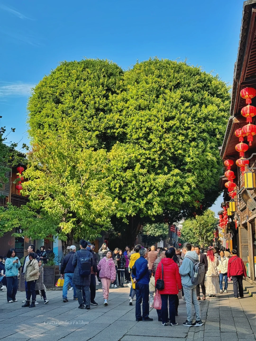 反向旅行！春节就去这❾个小众又好玩的城市吧