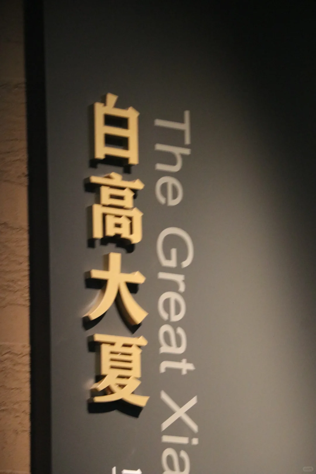 岁月失语：从历史长河中走出的西夏王陵