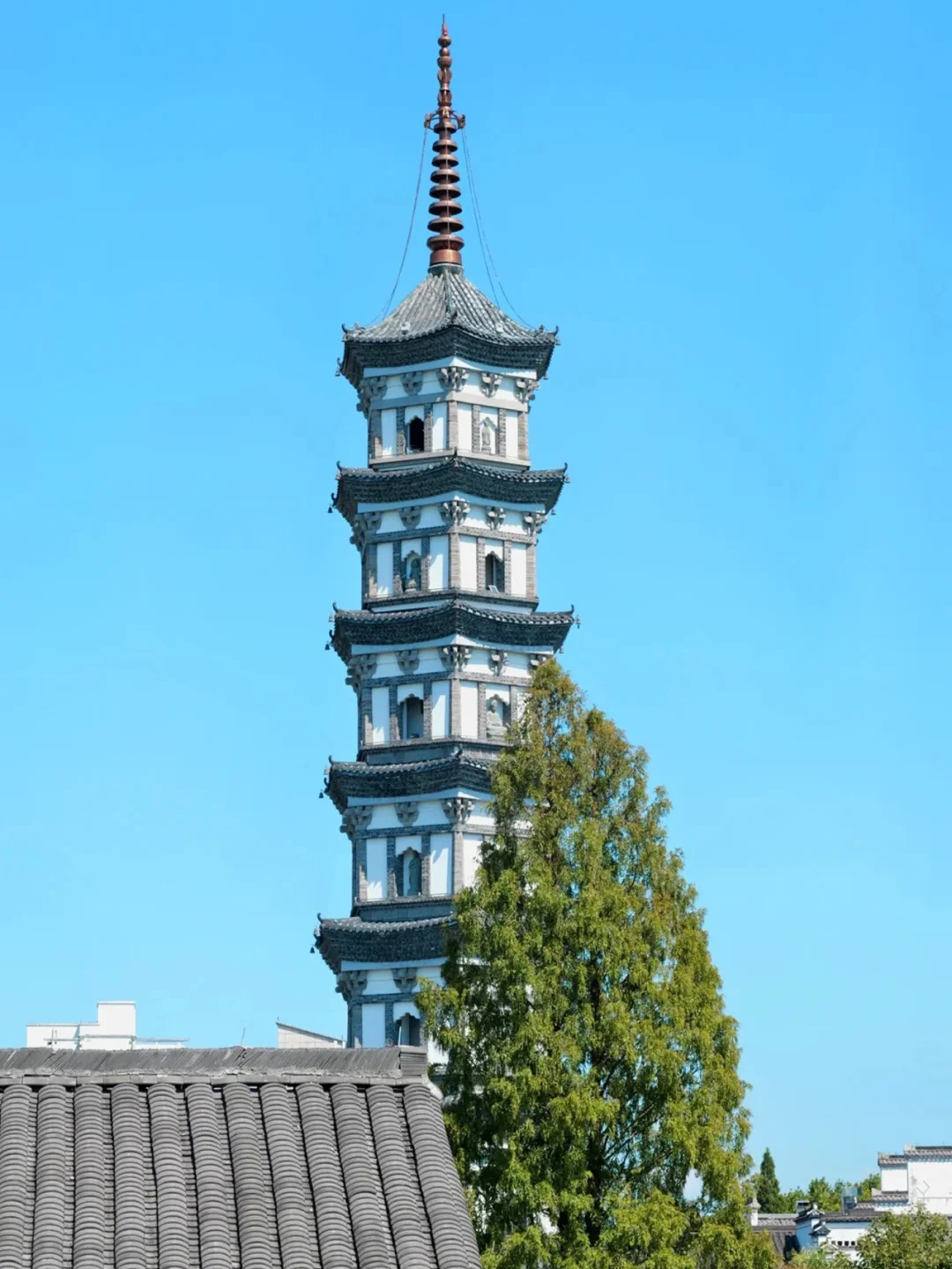 美食天堂，一城吃四省的衢州免费游啦~