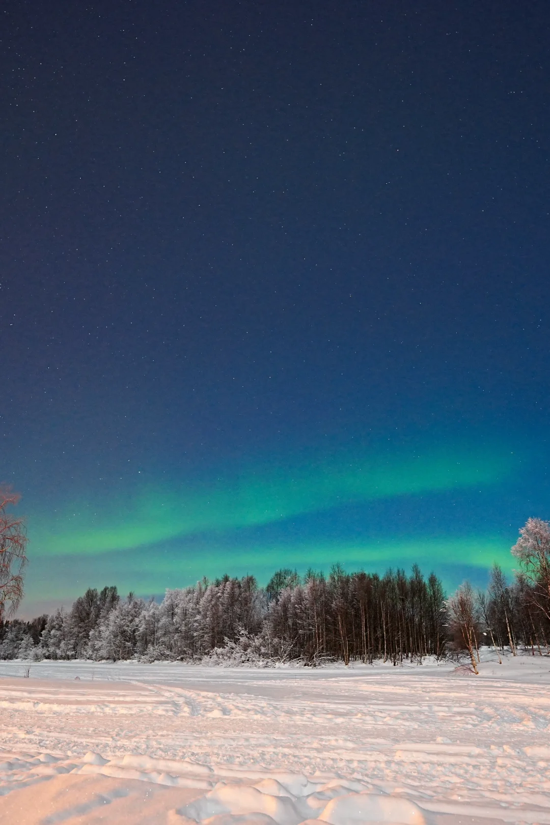 1月10号零下-28度追到的极光