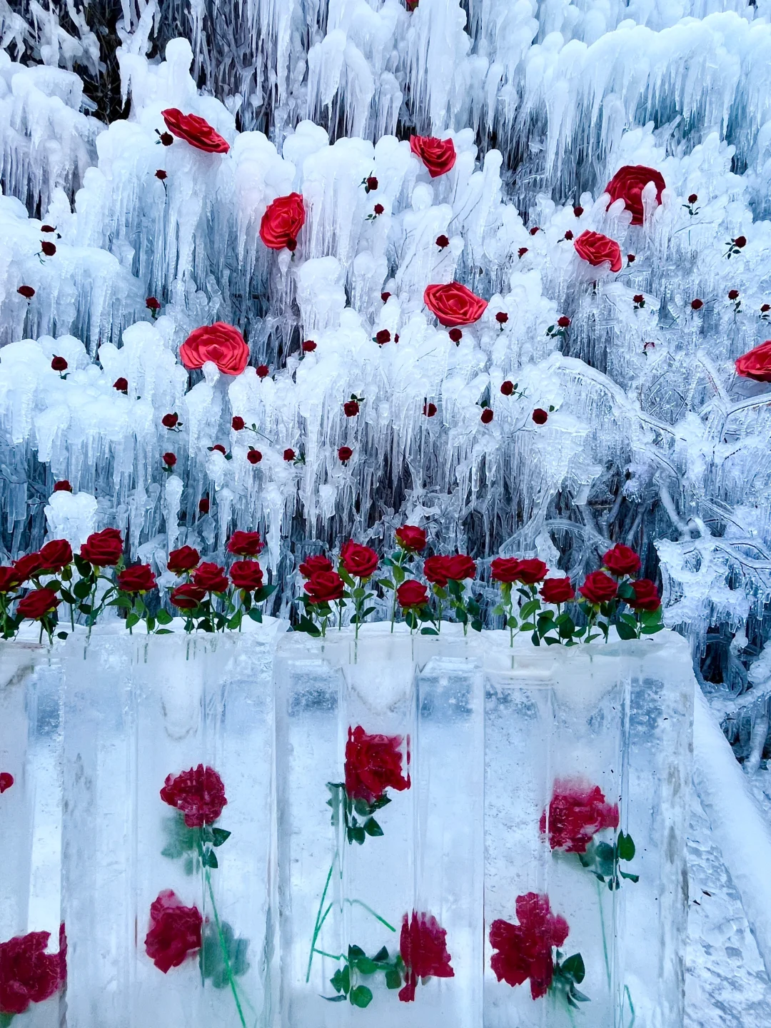 5A景区宝泉2025新年live实拍‼️