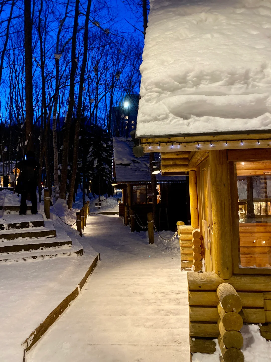 来一场北海道旅行