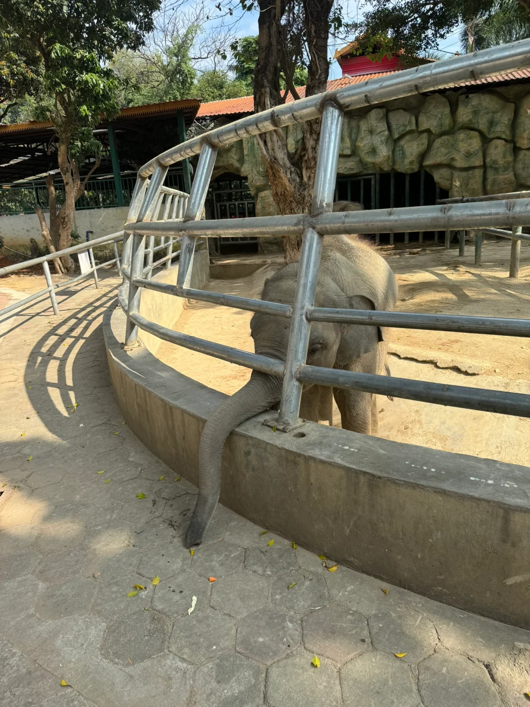 西双版纳娃最开心的景区居然是这！