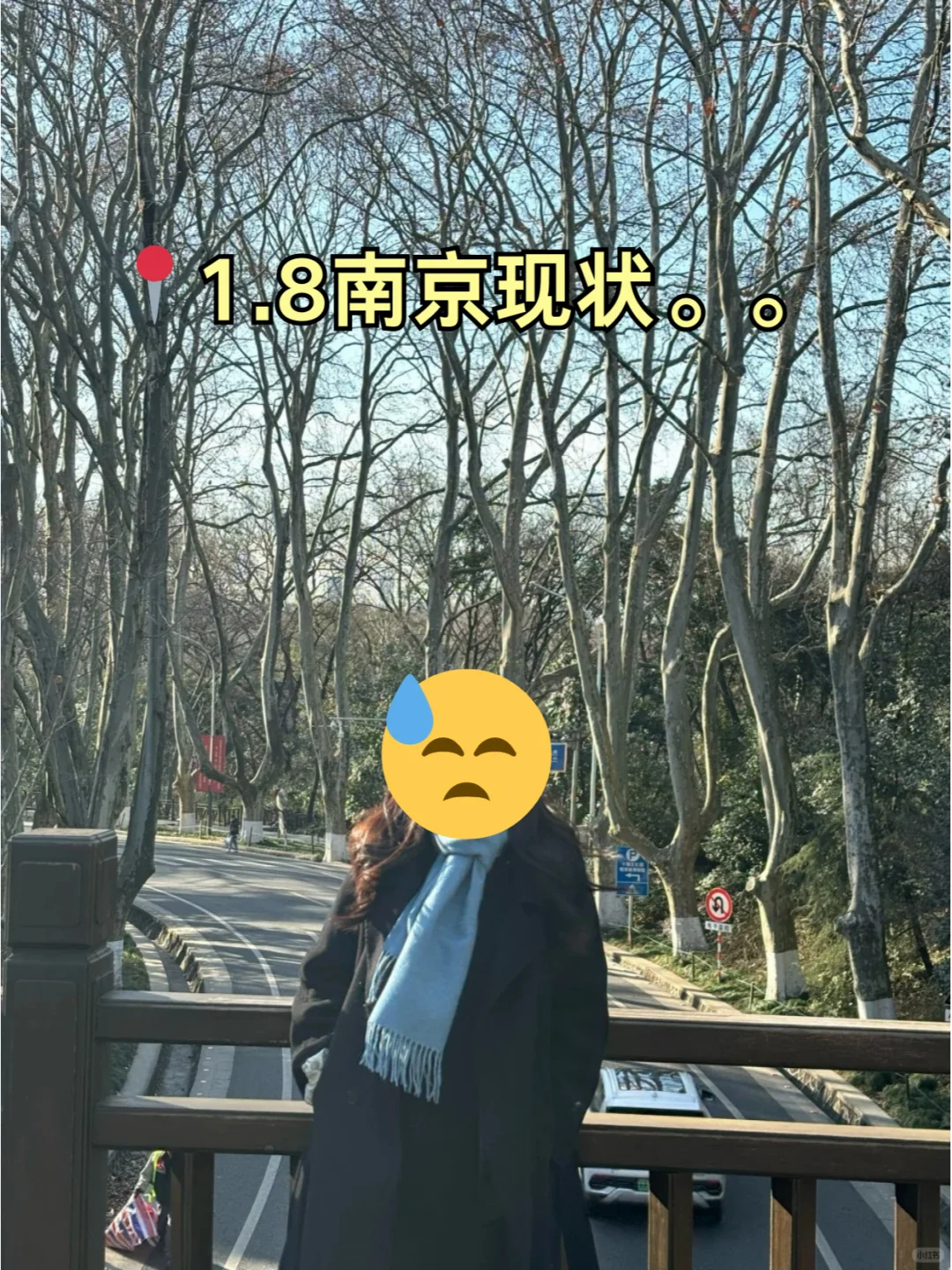 📍1.8南京已回。。好冷😭我都崩溃了