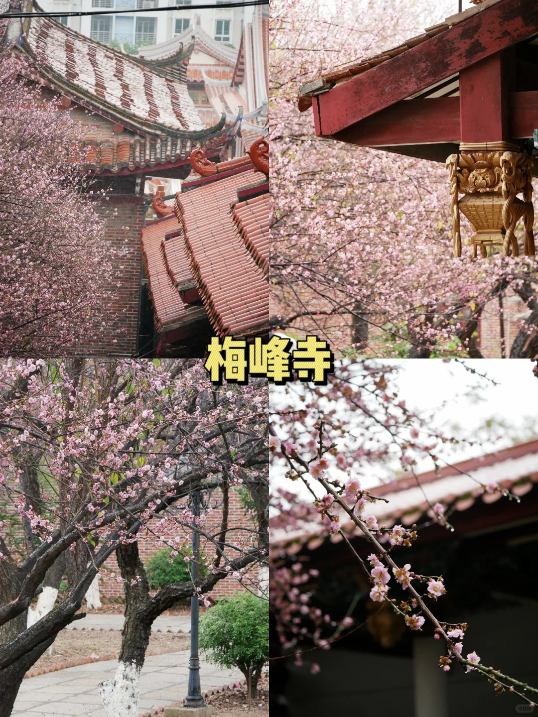 小莆田也有这么多值得一去的景点