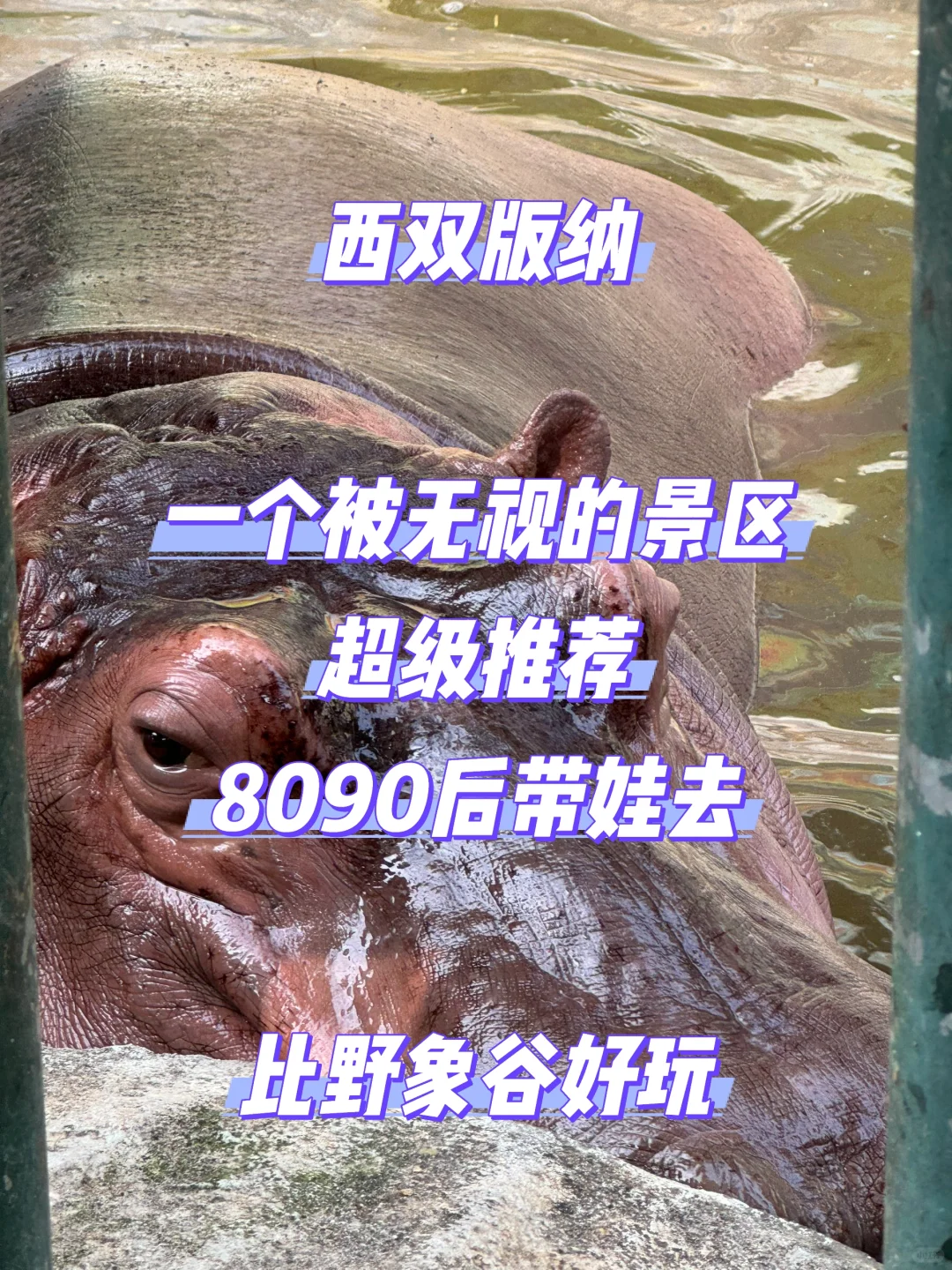 西双版纳娃最开心的景区居然是这！