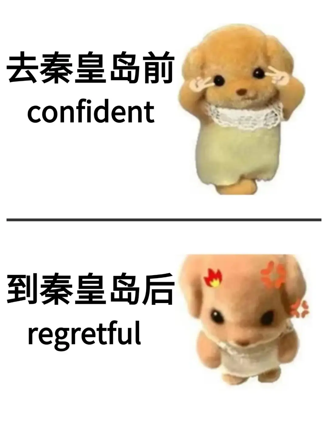 写给1-2月秦皇岛旅游的姐妹👯超全避雷