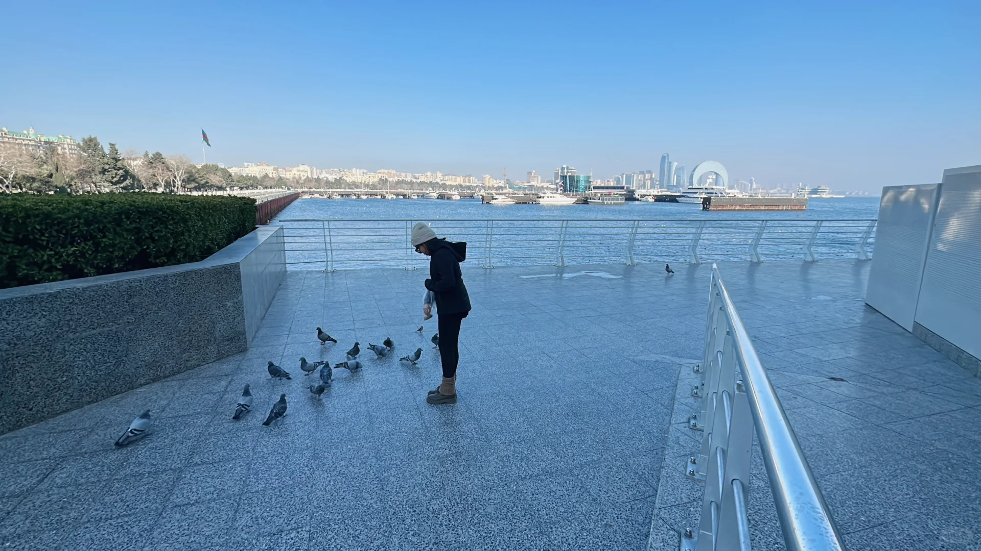 阿塞拜疆巴库第三天—-里海喂海鸥