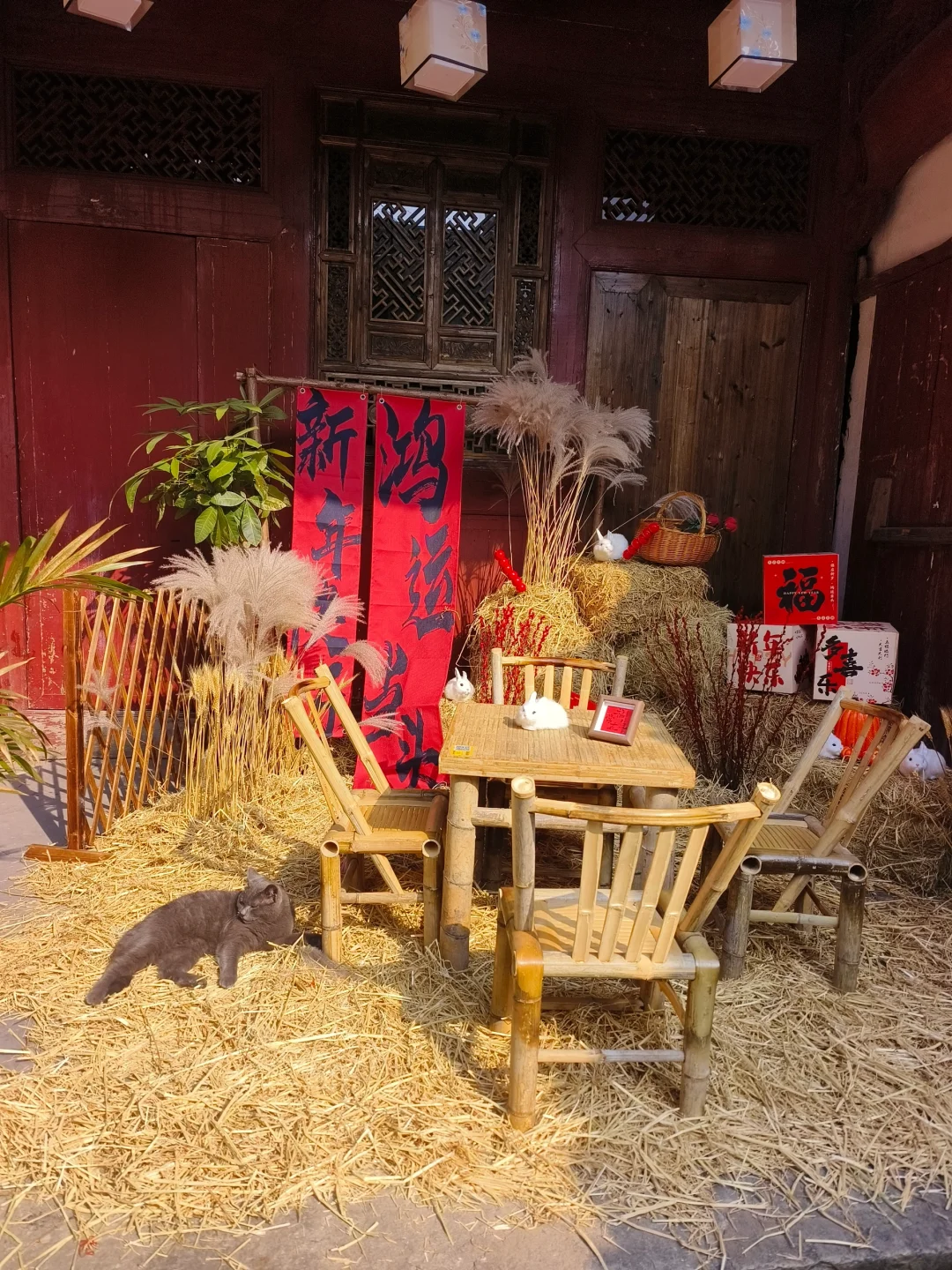 横店最大的景区免费了！春苑、官桥村玩起来！