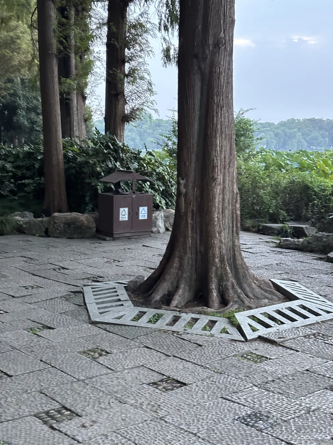 在西湖边溜达，自评6A级景区